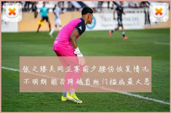 张之臻美网正赛前夕腰伤恢复情况不明朗 能否跨越首轮门槛成最大悬念